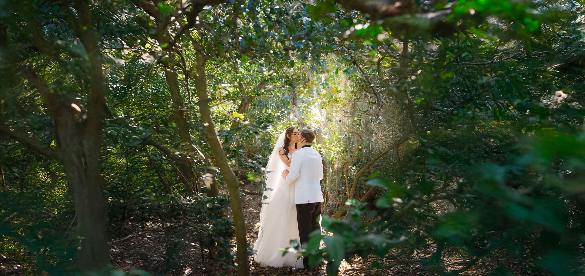 Couple kiss forest tunnel sunbeam panorama